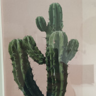 Photo de profil d'un pronostiqueur du Tour de France